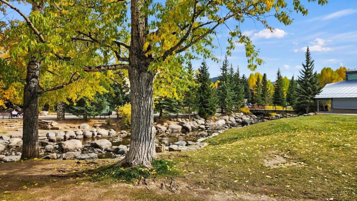 Cozy Studio With Shared Pool -3 Min To Ski Lift Breckenridge Exteriör bild